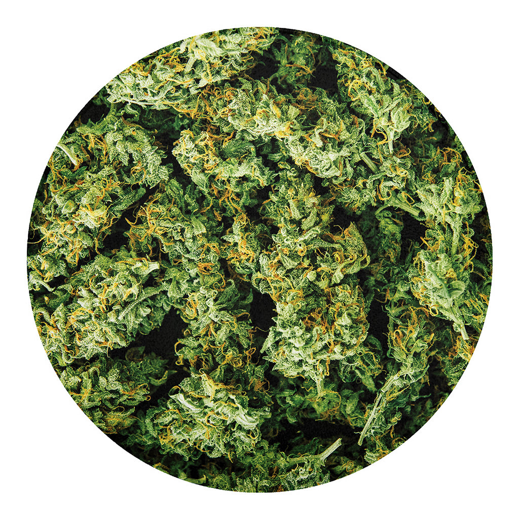Green Weed Print Round Blanket