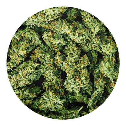 Green Weed Print Round Blanket