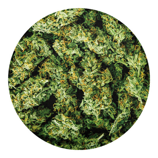 Green Weed Print Round Blanket