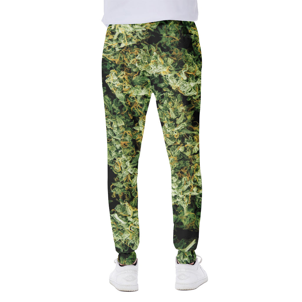 Green Weed Print Scuba Joggers