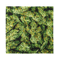 Green Weed Print Silk Bandana