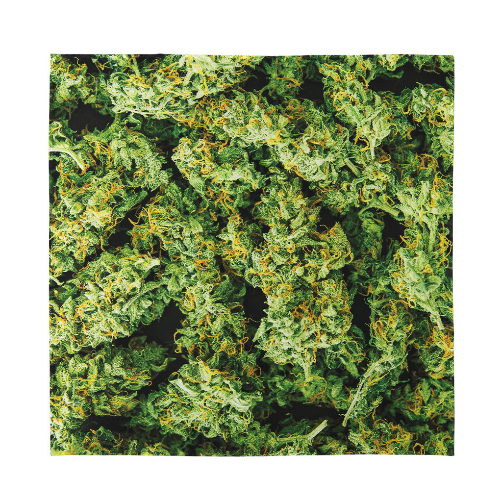 Green Weed Print Silk Bandana