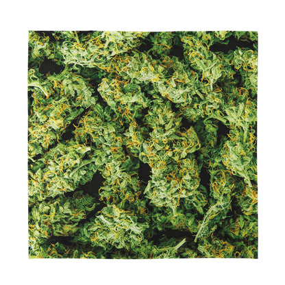 Green Weed Print Silk Bandana