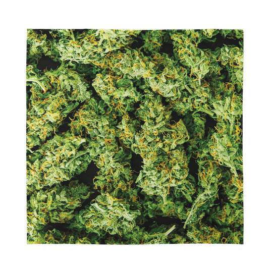 Green Weed Print Silk Bandana