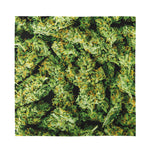 Green Weed Print Silk Bandana