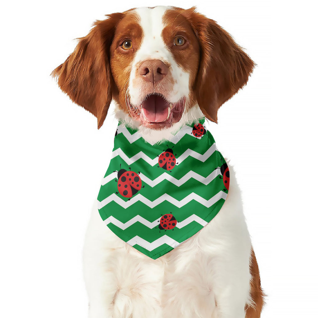 Green Zigzag Ladybird Pattern Print Dog Bandana