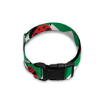 Green Zigzag Ladybird Pattern Print Dog Collar