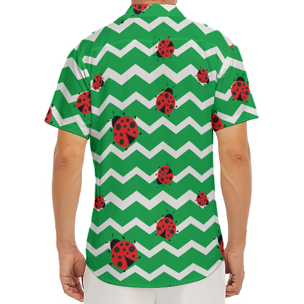 Green Zigzag Ladybird Pattern Print Men's Deep V-Neck Shirt