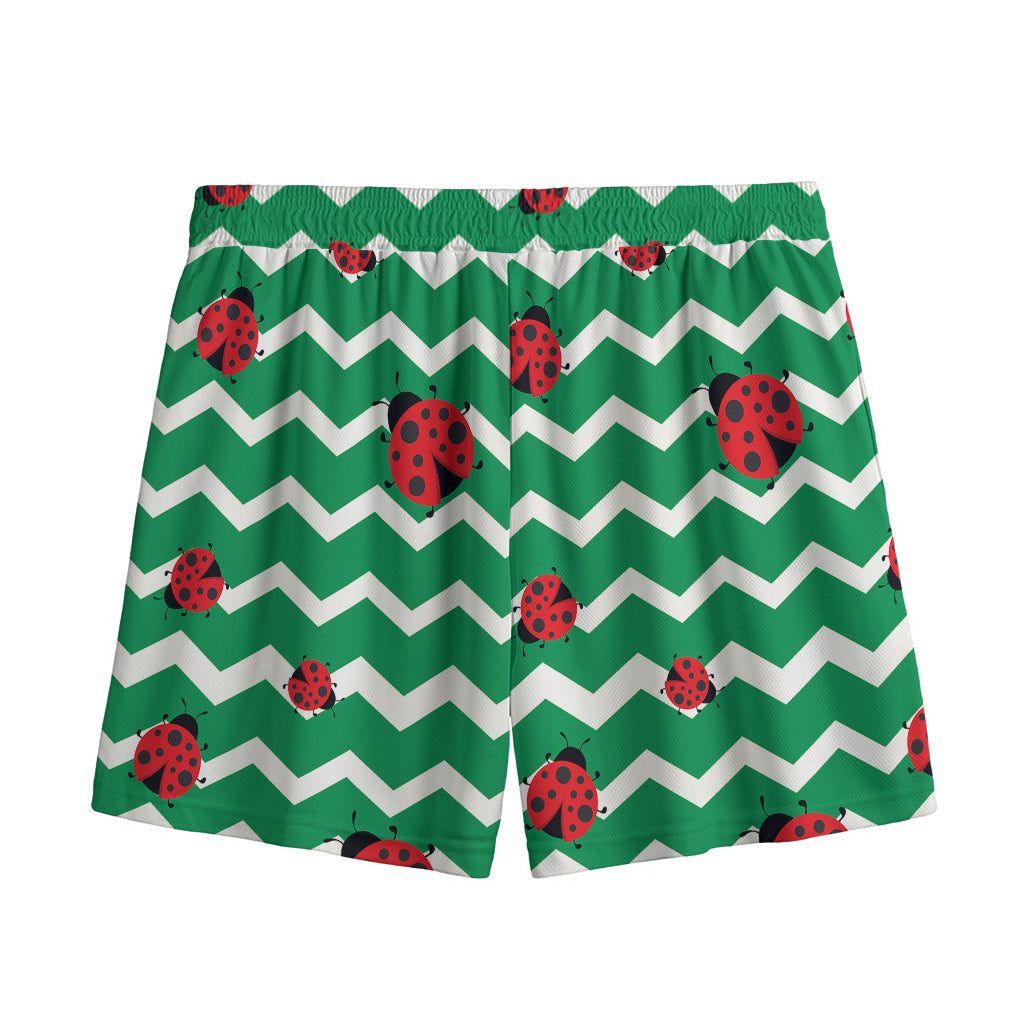 Green Zigzag Ladybird Pattern Print Mesh Shorts