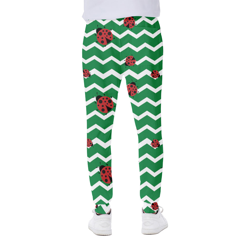 Green Zigzag Ladybird Pattern Print Scuba Joggers