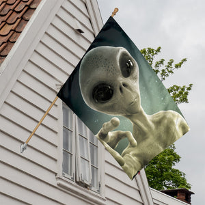 Grey Alien 3D Print House Flag