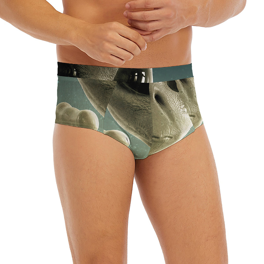 Grey Alien 3D Print Men's Briefs