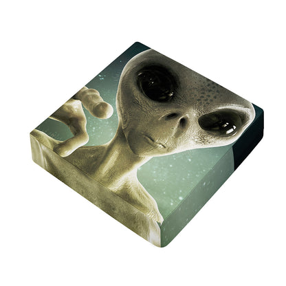 Grey Alien 3D Print Outdoor Seat Cushion Cover