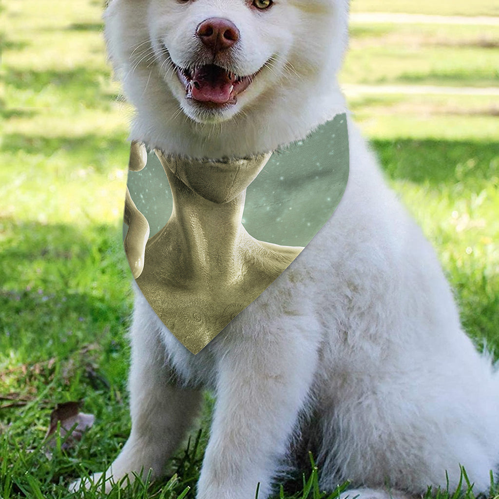 Grey Alien 3D Print Over The Collar Dog Bandana