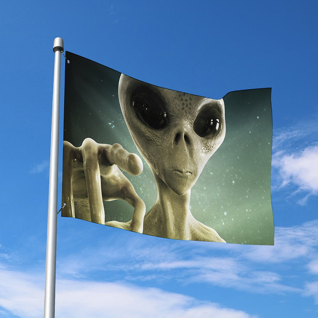 Grey Alien 3D Print Polyester Flag
