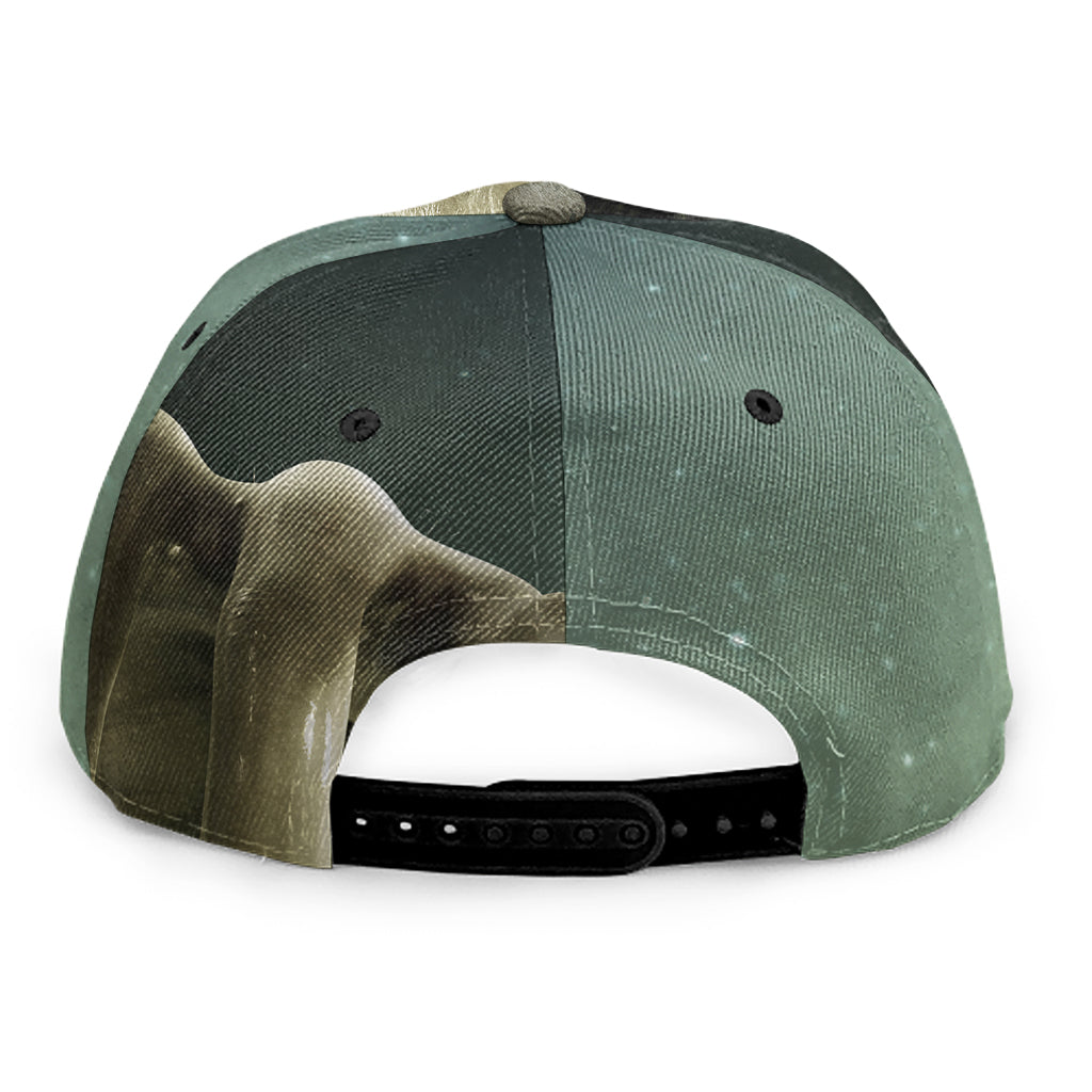 Grey Alien 3D Print Snapback Cap