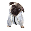 Grey Marble Print Dog Zip Up Hoodie