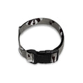 Grey Raccoon Pattern Print Dog Collar