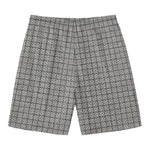 Grey Windowpane Pattern Print Men's Swim Trunks