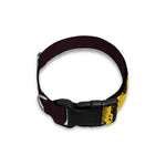 Grunge Rasta Lion Print Dog Collar
