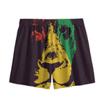 Grunge Rasta Lion Print Mesh Shorts