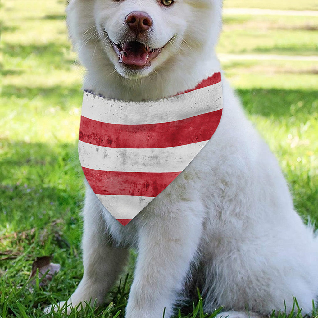 Grunge USA Flag Print Over The Collar Dog Bandana