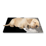 Half Moon Print Pet Cooling Mat Cover