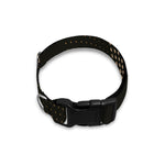 Halftone Dot Sun Print Dog Collar