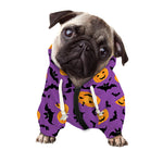 Halloween Bat And Pumpkin Pattern Print Dog Zip Up Hoodie