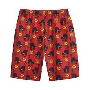 Halloween Black Cat Pattern Print Cotton Shorts