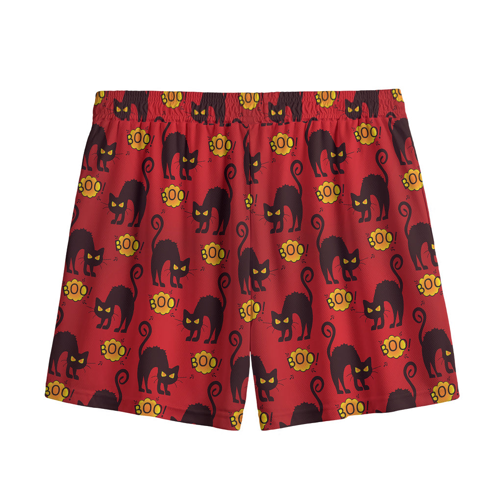 Halloween Black Cat Pattern Print Mesh Shorts