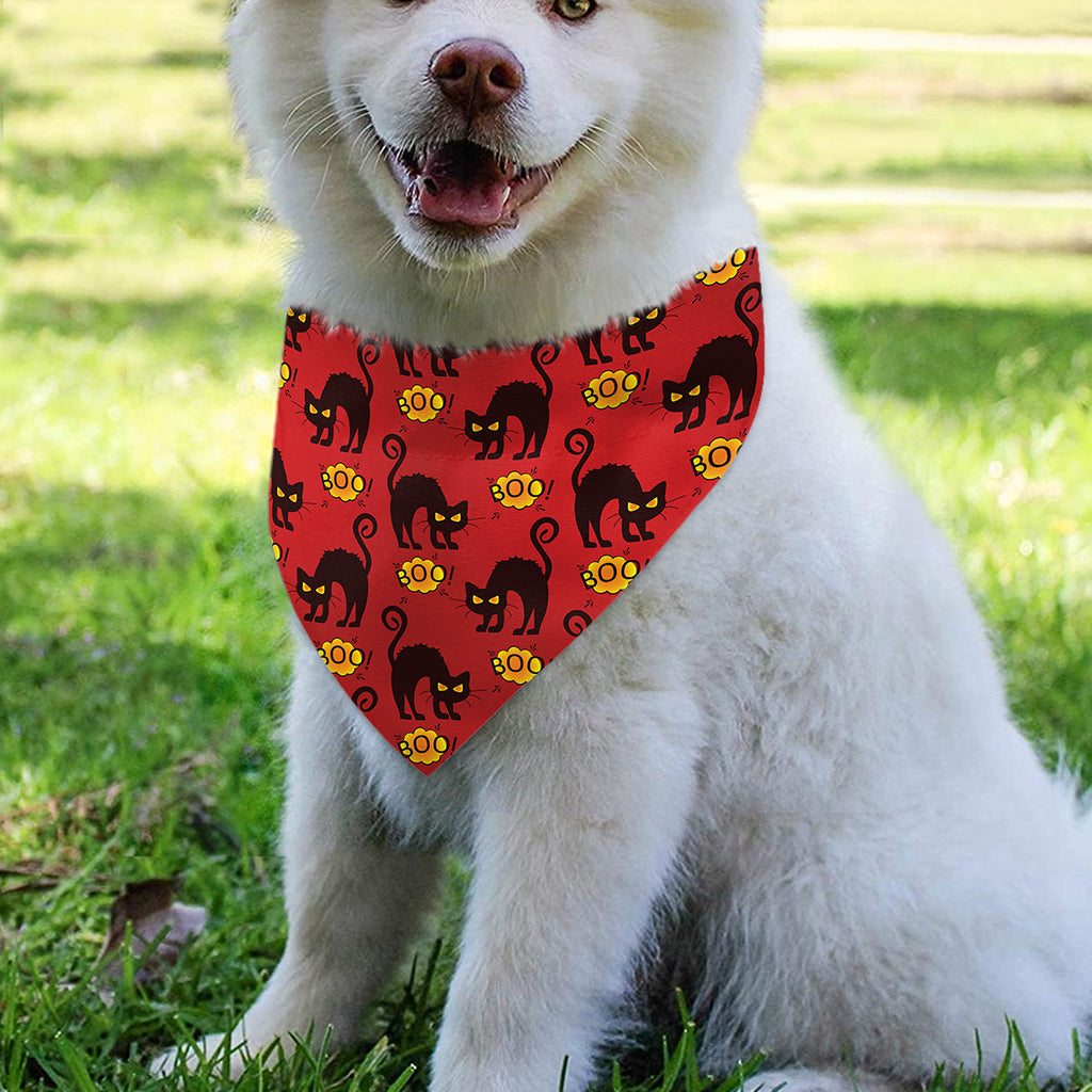 Halloween Black Cat Pattern Print Over The Collar Dog Bandana