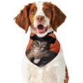 Halloween Cute Witch Cat Print Dog Bandana