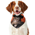 Halloween Cute Witch Cat Print Dog Bandana
