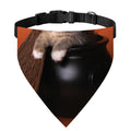 Halloween Cute Witch Cat Print Over The Collar Dog Bandana