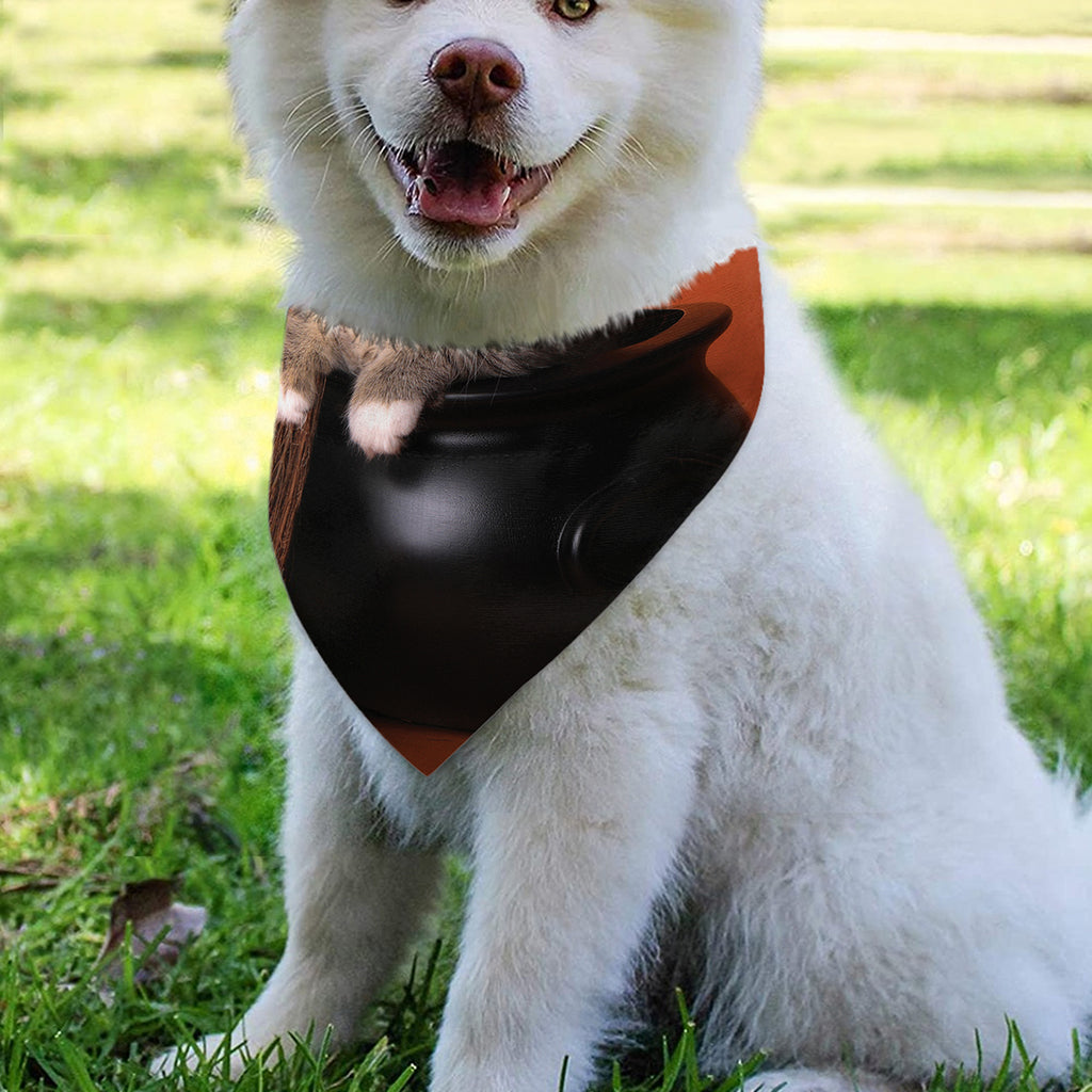 Halloween Cute Witch Cat Print Over The Collar Dog Bandana
