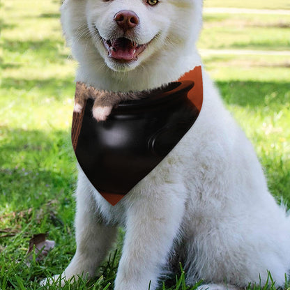 Halloween Cute Witch Cat Print Over The Collar Dog Bandana