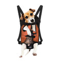 Halloween Cute Witch Cat Print Pet Carrier Backpack