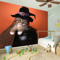 Halloween Cute Witch Cat Print Wall Sticker