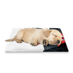 Halloween Evil Vampire Print Pet Cooling Mat Cover