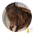 Halloween Flying Witch Cat Print Basketball
