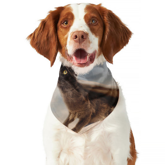 Halloween Flying Witch Cat Print Dog Bandana