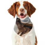 Halloween Flying Witch Cat Print Dog Bandana