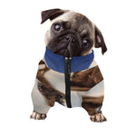 Halloween Flying Witch Cat Print Dog Zip Up Jacket