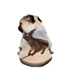 Halloween Flying Witch Cat Print Dog Zip Up Jacket