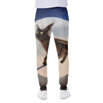 Halloween Flying Witch Cat Print Scuba Joggers