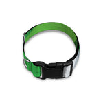 Halloween Frankenstein Face Print Dog Collar