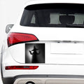 Halloween Horror Witch Print Car Sticker