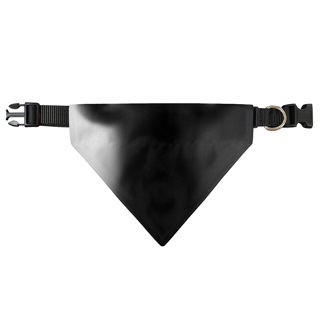 Halloween Horror Witch Print Over The Collar Dog Bandana