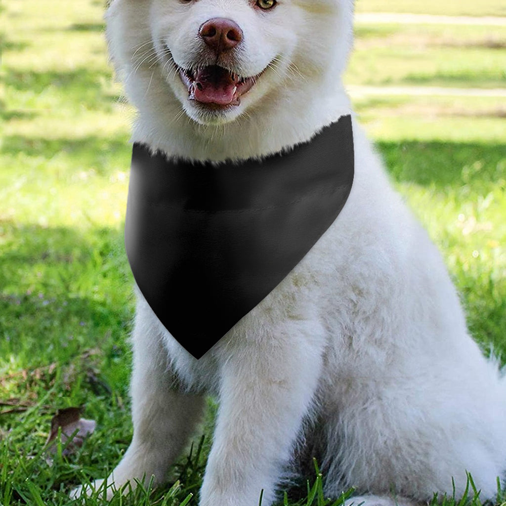 Halloween Horror Witch Print Over The Collar Dog Bandana